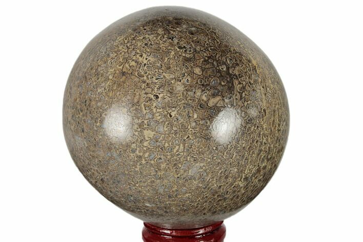 Polished Agatized Dinosaur (Gembone) Sphere - Morocco #189823